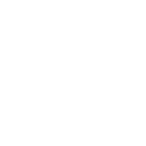Vision icon